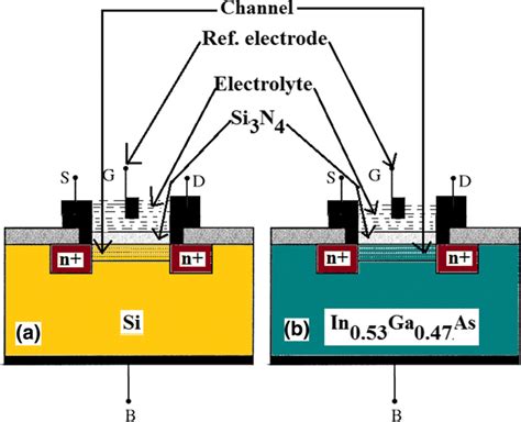 Schematic Device Structures Of A Si Isfet And B In0 53ga0 47as Isfet Download Scientific Diagram