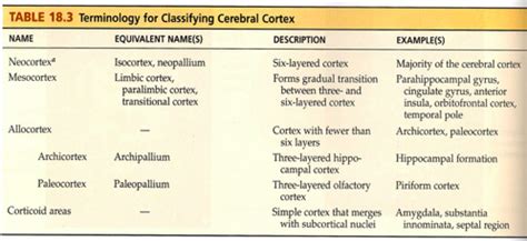 Higher Cortical Function Flashcards | Quizlet