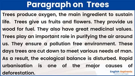 Paragraph On Importance Of Trees 100 150 200 250 Words Essay