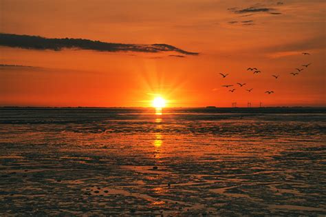 Free Images Sea Cloud Atmosphere Ecoregion Afterglow Natural Landscape Liquid Amber