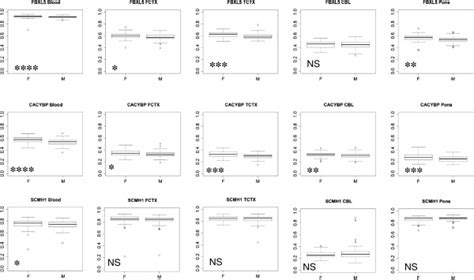 Sex Specific Dna Methylation Differences In Fbxl5 Cacybp And Scmh1