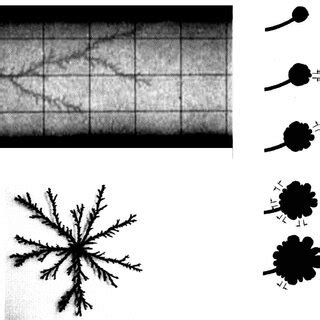 Velocity profiles in simple geometries with viscosity variation η 1