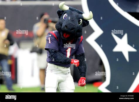 Texans Mascot