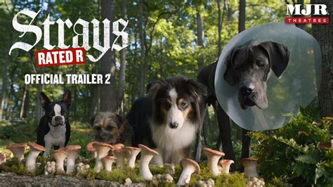 Strays Official Trailer 2 2023 Youtube