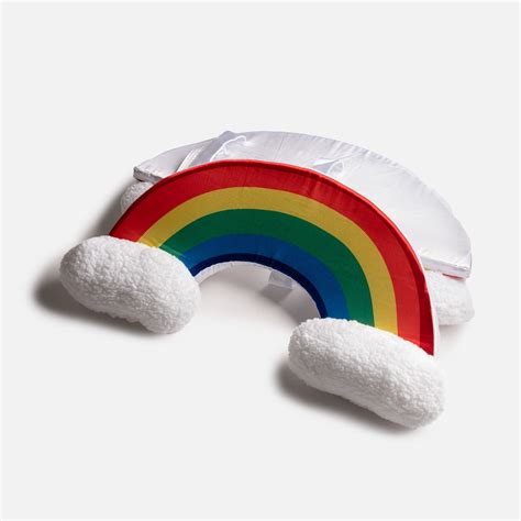 Rainbow Dog Costume – Silver Paw