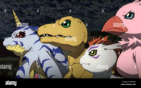 Agumon X Biyomon