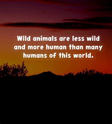 300 Inspiring Wildlife Quotes For Nature Lovers Factquotes