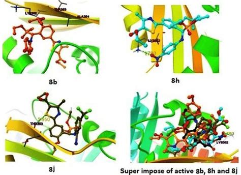 Binding Mode Analysis And Interaction Of Compounds In The Active Site