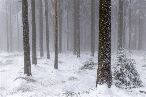 Schnee Gl Tte K Lte Winter Bricht Ber Deutschland Herein N Tv De