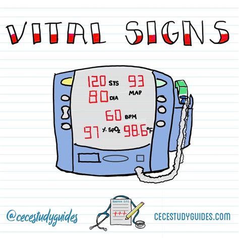 Vital Signs Nursing Notes And Study Guides By Cece Vital Signs