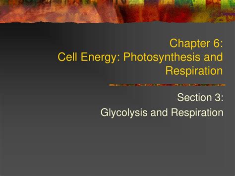 Cell Energy Photosynthesis And Respiration Ppt Download