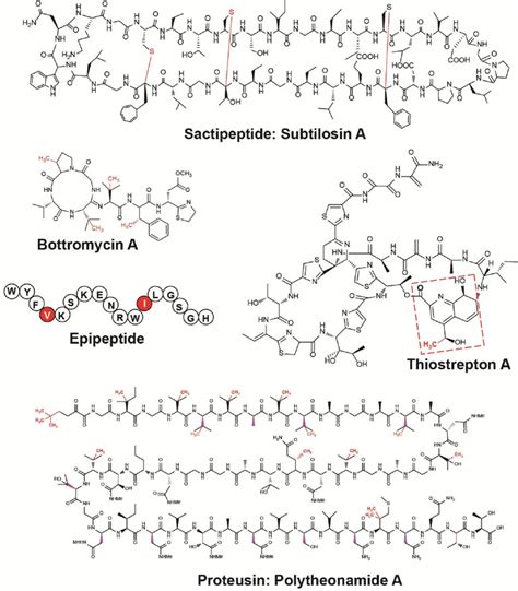 Radical Sam Enzymes In The Biosynthesis Of Ribosomally Synthesized And