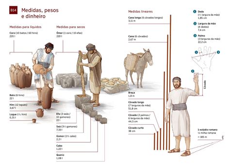 O Que Significa Metretas Na Bíblia - Medidas, peso e dinheiro usados na Bíblia | Bíblia, Estudos bíblicos e Fé
