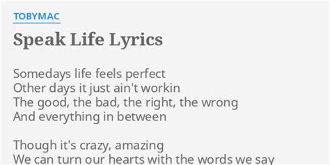 Speak Life Lyrics By Tobymac Somedays Life Feels Perfect