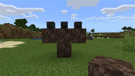 How To Spawn A Wither In Minecraft Citizenside