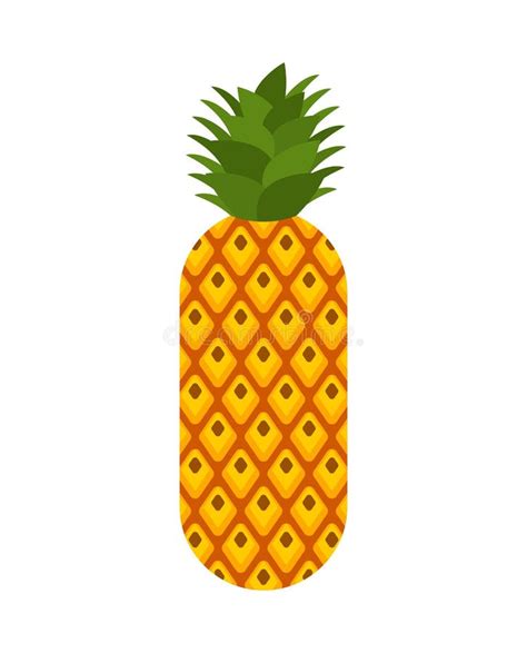 Pineapple Isolated Ananas Exotic Tropical Fruit Stock Vector