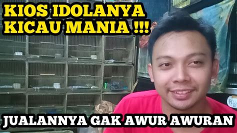 Update Harga Burung Terbaru Kios Yang Masih Jadi Idola Kicau Mania