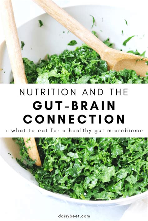 Nutrition And The Gut Brain Connection • Daisybeet