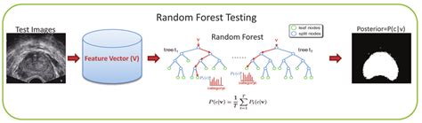 Random Forest Classification Framework A Random Forest Training B