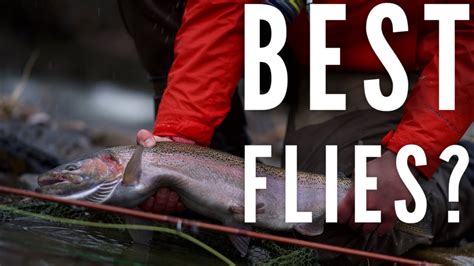 The Best Winter Flies For Big Brown And Rainbow Trout Youtube