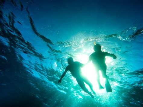 Scuba Diving Punta Cana Blog