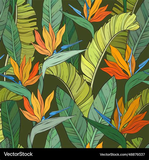 Pattern With Tropical Bird Of Paradise Flowers Vector Image