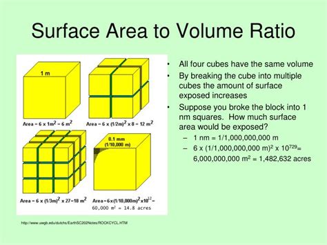 PPT Surface Area To Volume Ratio PowerPoint Presentation ID 5509827