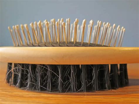 La Brosse En Poils De Sanglier Pour Des Cheveux Plus Beaux Tout Ce Que