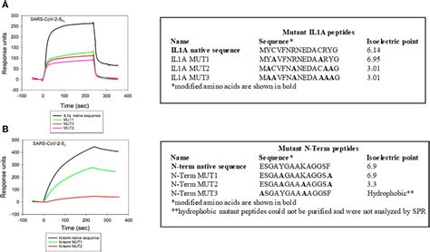 Frontiers Cellugyrin Synaptogyrin Dependent Pathways Are Used By