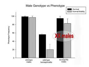 Sex Stress And Oxygen Deprivation Gender Specific Phenotypes