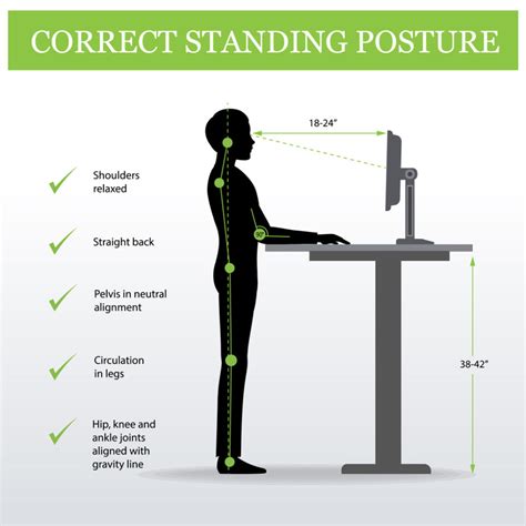 Clip Art Kursi Kerja Ergonomics Meaning - IMAGESEE