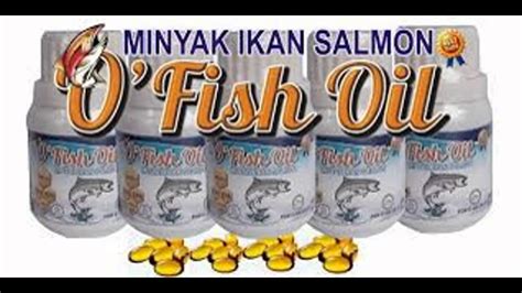 Jual Minyak Ikan Salmon Omega 3 Youtube