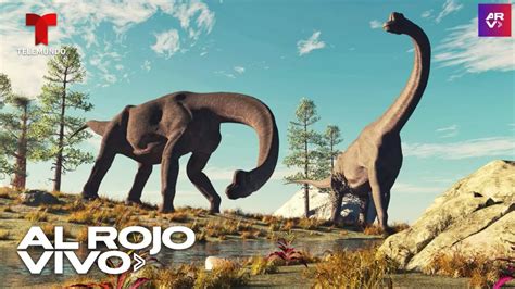 Dinosaurios estaban por extinguirse 10 millones de años antes del