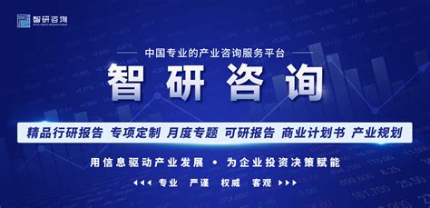 2023 2029年中国cro行业市场全景评估及发展策略分析报告服务医药合同