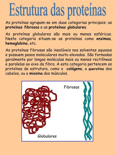 Ppt Estrutura Das Proteínas Powerpoint Presentation Free Download