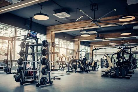 Gym Equipment Manufacturers In India Top Gym Equipment Companies