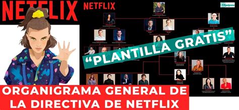 Organigrama General de Netflix 2024 Características Elementos Funciones