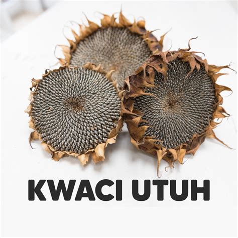 jual bunga matahari kering utuh  kwaci kuaci pakan burung