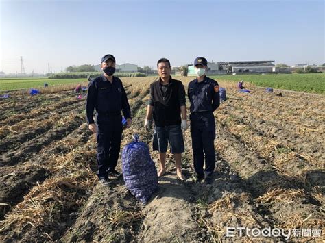 雲林沿海蒜頭熟成進入採收季 北港警分局動員加強防竊 Ettoday地方新聞 Ettoday新聞雲