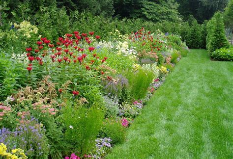 15 Perennial Garden Layout Ideas Worth A Look Sharonsable