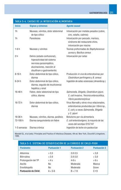 Causas De La Intoxicaci N Alimentaria Udocz