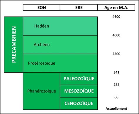 Lhistoire De La Vie Sur Terre ANPF