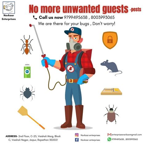 Spider Pest Control Spider Extermination In India