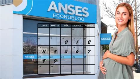 Anses Fechas De Cobro Del Fondo De Desempleo En Enero De 2021