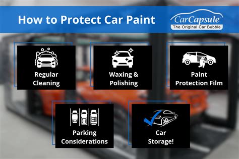 How To Protect Car Paint Carcapsule