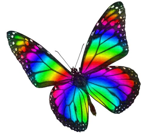 Rainbow Butterfly Png