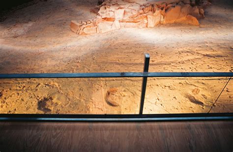 Step Out On The Dinosaur Trail In Outback Winton