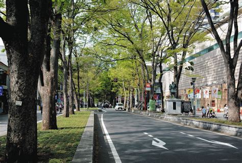 京王府中駅前のけやき並木通り、有料で貸し出し 市など 新たなにぎわい創出へ 3月から飲食や物販想定：東京新聞デジタル