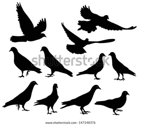 Pigeons Silhouette Vector Stock Vector Royalty Free 147148376