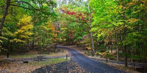 Park reopens Look Rock Campground after nine-year closure | U.S ...